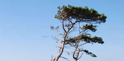 Mobilt bredband extrem miljö