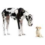 Jämför VHF och UHF