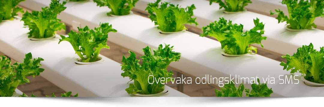 Övervaka växthus via SMS