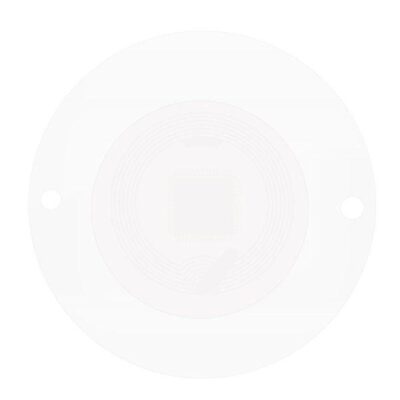 ela blue puck coin baksida