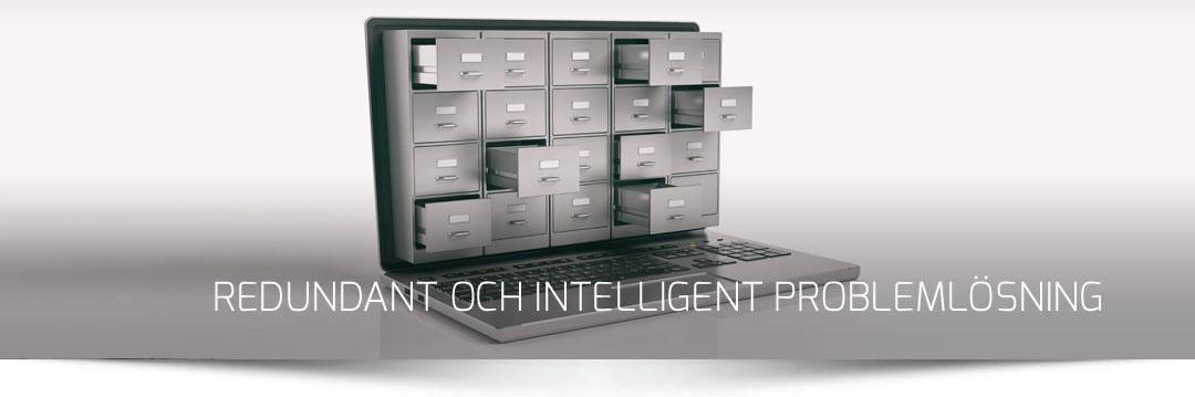 intelligent problemlösning